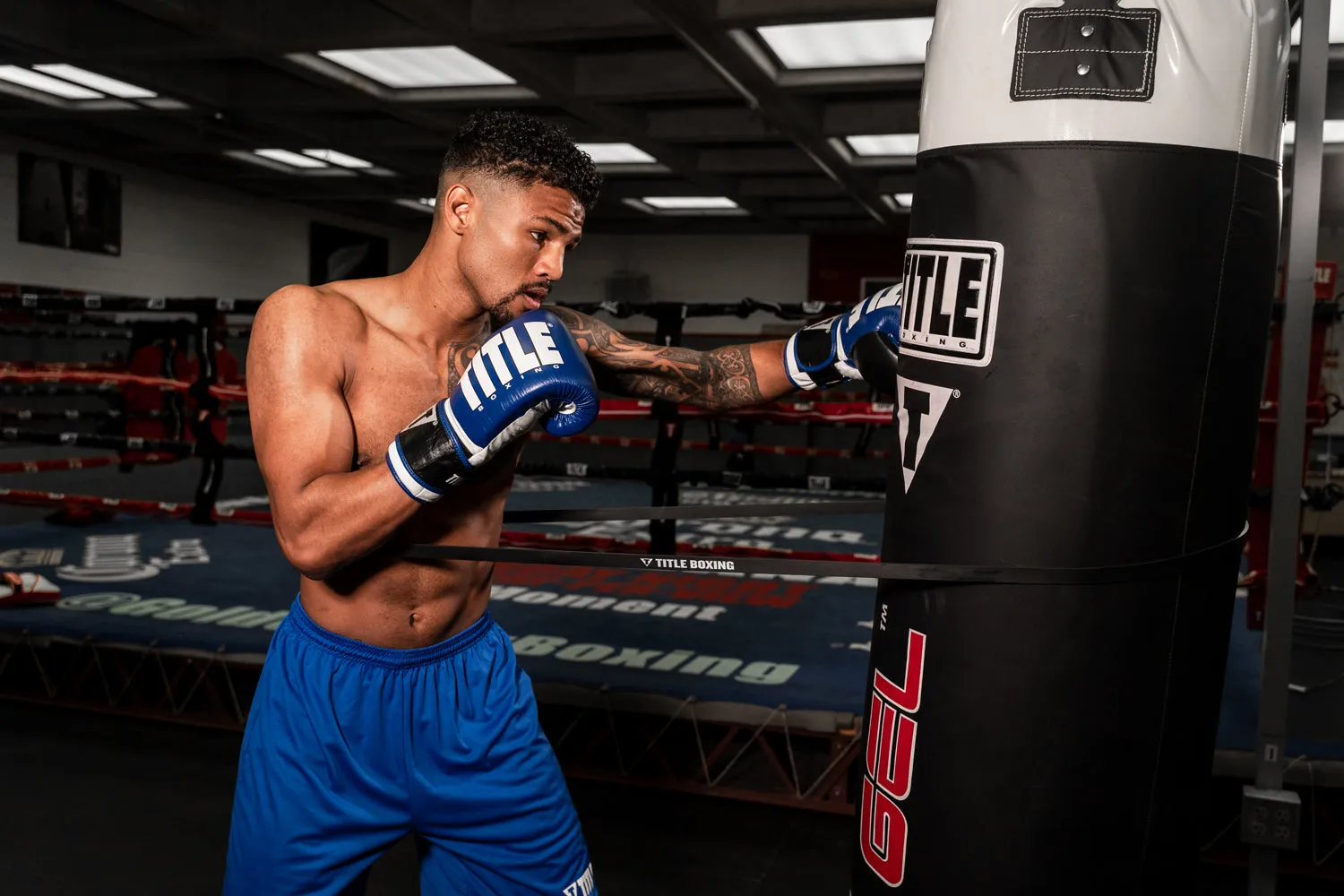 TITLE Boxing Inside Fighting Resistance Trainer